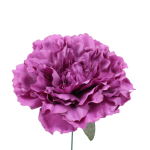 Color: Malva empolvado