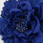 Color: Azul klein