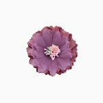 Color: Malva empolvado