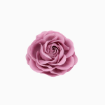 Color: Rosa violeta