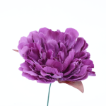 Color: Malva empolvado